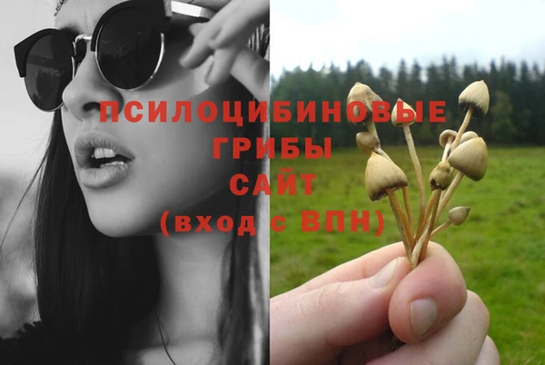 ГАЛЛЮЦИНОГЕННЫЕ ГРИБЫ Армянск