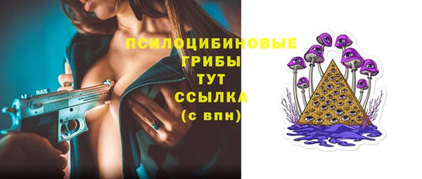 2c-b Алзамай