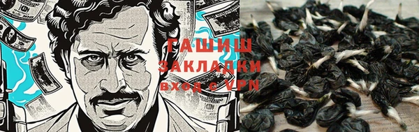 ГАЛЛЮЦИНОГЕННЫЕ ГРИБЫ Армянск