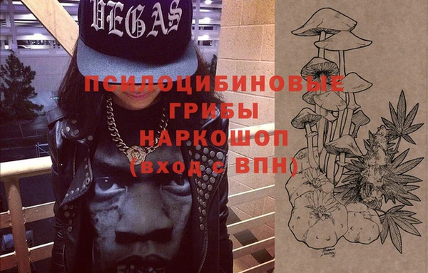 2c-b Алзамай